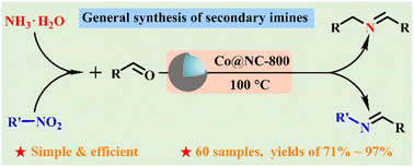 Graphical abstract: General synthesis of secondary imines via reductive coupling of carbonyl and nitro compounds employing a reusable cobalt catalyst