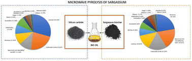 Graphical abstract: Pyrolysis of sargassum in a single mode microwave cavity: use of SiC and biochar as microwave absorbers