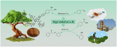 Graphical abstract: Selective aerobic oxidative C–C bond cleavage using a high-entropy oxide-derived multimetallic catalyst