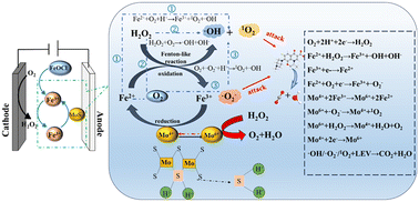 Graphical abstract: Levofloxacin degradation in a heterogeneous electro-Fenton system with an FeOCl/MoS2 composite catalyst