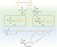 Graphical abstract: Molecular structure design and epoxy functional modification of star-shaped poly(lactic acid) by a melt polycondensation strategy