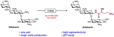 Graphical abstract: Practical and scalable one-pot synthesis of arbekacin