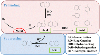 Graphical abstract: Dominant role of zeolite in coordination between metal and acid sites on an industrial catalyst for tetralin hydrocracking