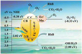 Graphical abstract: Enhanced visible light photocatalytic performance of Er, Mn co-doped monoclinic BiVO4 for efficient organic pollutant degradation
