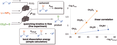 Graphical abstract: Elucidation of the kinetic stabilities of carbenoid species by integration of theoretical and experimental studies