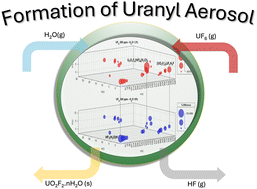 Graphical abstract: Determination of intermediates and products of the uranyl aerosol formation in UF6 hydrolysis in the gas phase