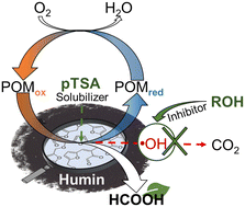 Graphical abstract: Selective catalytic oxidation of humins to carboxylic acids using the H4[PVMo11O40] Keggin-type polyoxometalate enhanced by alcohol doping and solubilizer