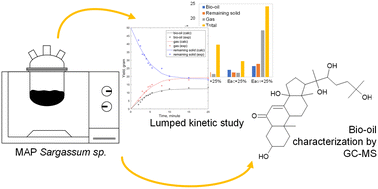 Graphical abstract: Comprehensive study of lumped kinetic models and bio-oil characterization in microwave-assisted pyrolysis of Sargassum sp.