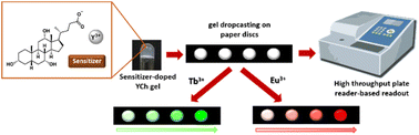 Graphical abstract: A photoluminescence assay with a portable device for rapid, sensitive and selective detection of europium and terbium