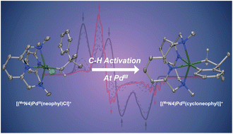 Graphical abstract: C–H bond activation via concerted metalation–deprotonation at a palladium(iii) center