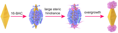 Graphical abstract: Steric hindrance-induced selective growth of rhodium on gold nanobipyramids for plasmon-enhanced nitrogen fixation