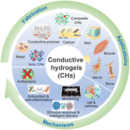 Graphical abstract: Conductive hydrogels for tissue repair