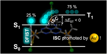 Graphical abstract: Gold(i)-containing light-emitting molecules with an inverted singlet–triplet gap