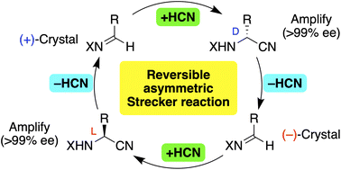Graphical abstract: Chirally and chemically reversible Strecker reaction