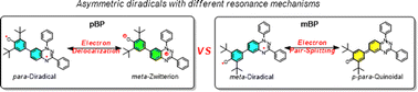 Graphical abstract: Asymmetric and zwitterionic Blatter diradicals