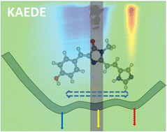 Graphical abstract: Photophysics of the red-form Kaede chromophore