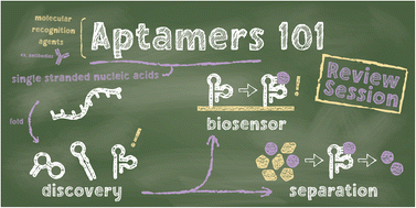 Graphical abstract: Aptamers 101: aptamer discovery and in vitro applications in biosensors and separations