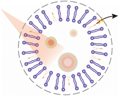 Graphical abstract: A self-assembled nanophotosensitizer targets lysosomes and induces lysosomal membrane permeabilization to enhance photodynamic therapy