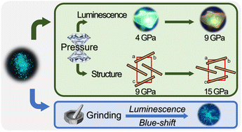 Graphical abstract: Multiple responses of 1,6-diphenyl-1,3,5-hexatriene to mechanical stimulation: emission enhancement, piezochromism and negative linear compressibility