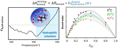 Graphical abstract: Local solvation structures govern the mixing thermodynamics of glycerol–water solutions