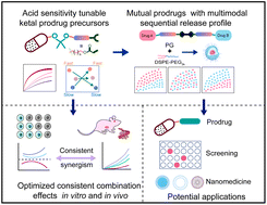 Graphical abstract: Fine-tuning the sequential drug release of nano-formulated mutual prodrugs dictates the combination effects