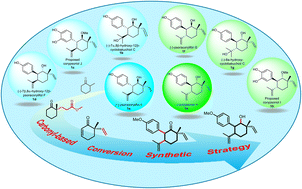 Graphical abstract: Enantioselective total syntheses of six natural and two proposed meroterpenoids from Psoralea corylifolia