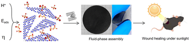 Graphical abstract: Molecular assembly of carbon nitride-based composite membranes for photocatalytic sterilization and wound healing