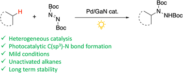 Graphical abstract: Palladium nanoparticles on gallium nitride as a Mott–Schottky catalyst for efficient and durable photoactivation of unactivated alkanes