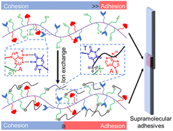 Graphical abstract: Bioinspired nucleobase-containing polyelectrolytes as robust and tunable adhesives by balancing the adhesive and cohesive properties