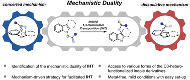 Graphical abstract: Mechanistic duality of indolyl 1,3-heteroatom transposition