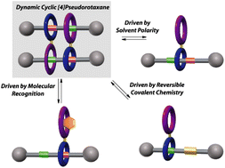 Graphical abstract: Control of the assembly of a cyclic hetero[4]pseudorotaxane from a self-complementary [2]rotaxane