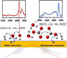 Graphical abstract: Direct observation of bicarbonate and water reduction on gold: understanding the potential dependent proton source during hydrogen evolution
