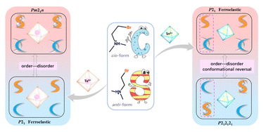 Graphical abstract: An anomalous ferroelastic phase transition arising from an unusual cis-/anti-conformational reversal of polar organic cations