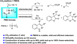 Graphical abstract: Regioselective hydroesterification of alkenes and alkenylphenols utilizing CO2 and hydrosilane