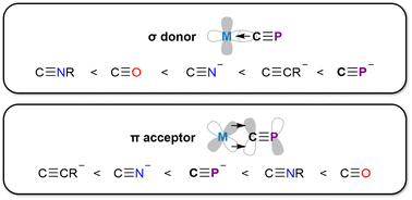 Graphical abstract: Putting cyaphide in its place: determining the donor/acceptor properties of the κC-cyaphido ligand