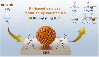 Graphical abstract: The promotional role of Mn in CO2 hydrogenation over Rh-based catalysts from a surface organometallic chemistry approach