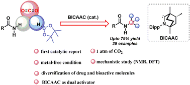 Graphical abstract: Bicyclic (alkyl)(amino)carbene (BICAAC) in a dual role: activation of primary amides and CO2 towards catalytic N-methylation