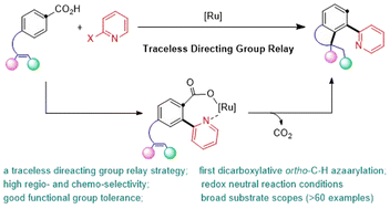 Graphical abstract: Ruthenium-catalysed decarboxylative unsymmetric dual ortho-/meta-C–H bond functionalization of arenecarboxylic acids