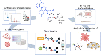 Graphical abstract: Conditional generation of free radicals by selective activation of alkoxyamines: towards more effective and less toxic targeting of brain tumors