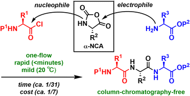 Graphical abstract: Rapid and column-chromatography-free peptide chain elongation via a one-flow, three-component coupling approach