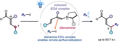 Graphical abstract: Enantioselective catalytic remote perfluoroalkylation of α-branched enals driven by light