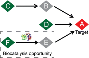 Graphical abstract: Computer-assisted multistep chemoenzymatic retrosynthesis using a chemical synthesis planner