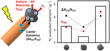 Graphical abstract: Pt cocatalyst morphology on semiconductor nanorod photocatalysts enhances charge trapping and water reduction