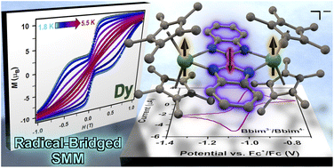 Graphical abstract: Magnetic hysteresis and large coercivity in bisbenzimidazole radical-bridged dilanthanide complexes