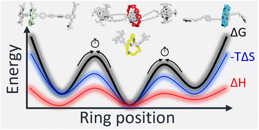 Graphical abstract: Into the dynamics of rotaxanes at atomistic resolution