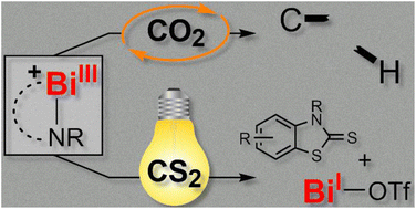 Graphical abstract: Insertion of CO2 and CS2 into Bi–N bonds enables catalyzed CH-activation and light-induced bismuthinidene transfer
