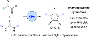 Graphical abstract: Enantioselective synthesis of hydantoins by chiral acid-catalysed condensation of glyoxals and ureas
