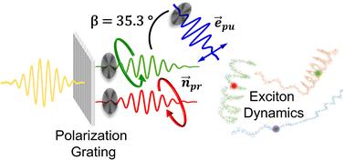 Graphical abstract: Time-resolved circular dichroism of excitonic systems: theory and experiment on an exemplary squaraine polymer