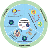Graphical abstract: Recent advances in permeable polymersomes: fabrication, responsiveness, and applications