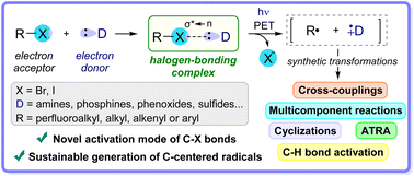 Graphical abstract: Shining light on halogen-bonding complexes: a catalyst-free activation mode of carbon–halogen bonds for the generation of carbon-centered radicals